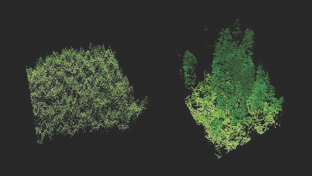 Due alberi ricostruiti con punti lidar verdi su fondo scuro.